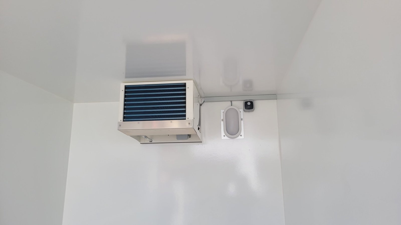 Remorque porte-voitures frigorifique AZKF 2730/155 avec WMK-4G, PTAC 2 700 kg, surface de chargement 2,44 x 1,45 m, hauteur intérieure 2 000 mm (rail d'arrimage inclus) – Image 2